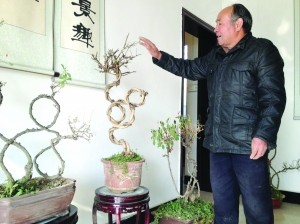 ϡ˶辰鷨